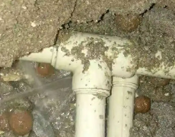 新野测漏水多少钱