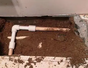 新野测漏水哪家好