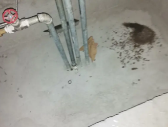 新野卫生间测漏水价格明细