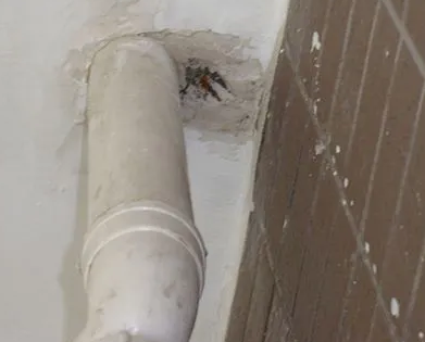 新野漏水检测哪家好